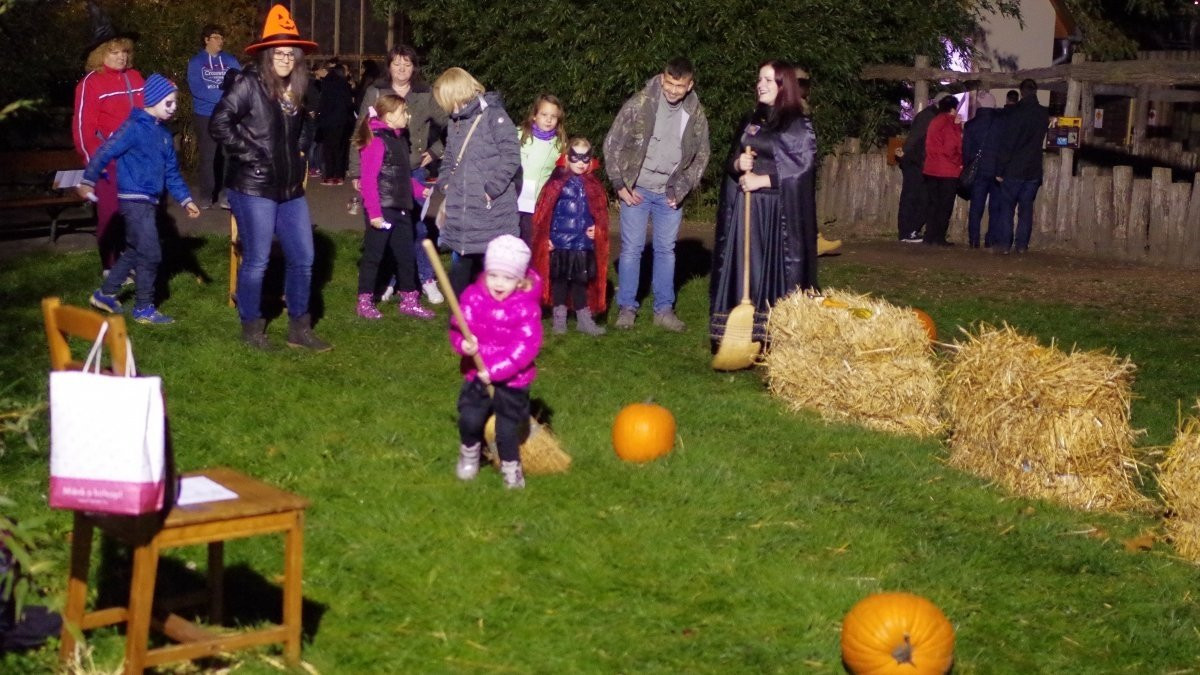 Halloween in the Zoo