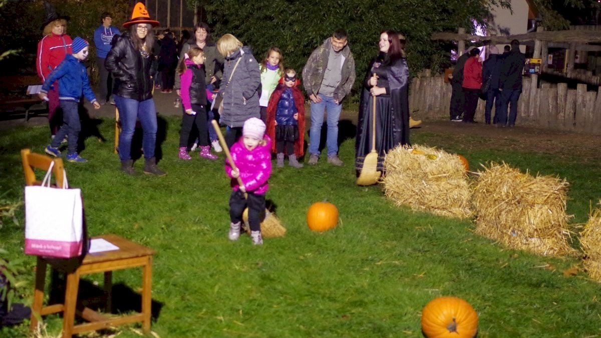 Halloween in the Zoo