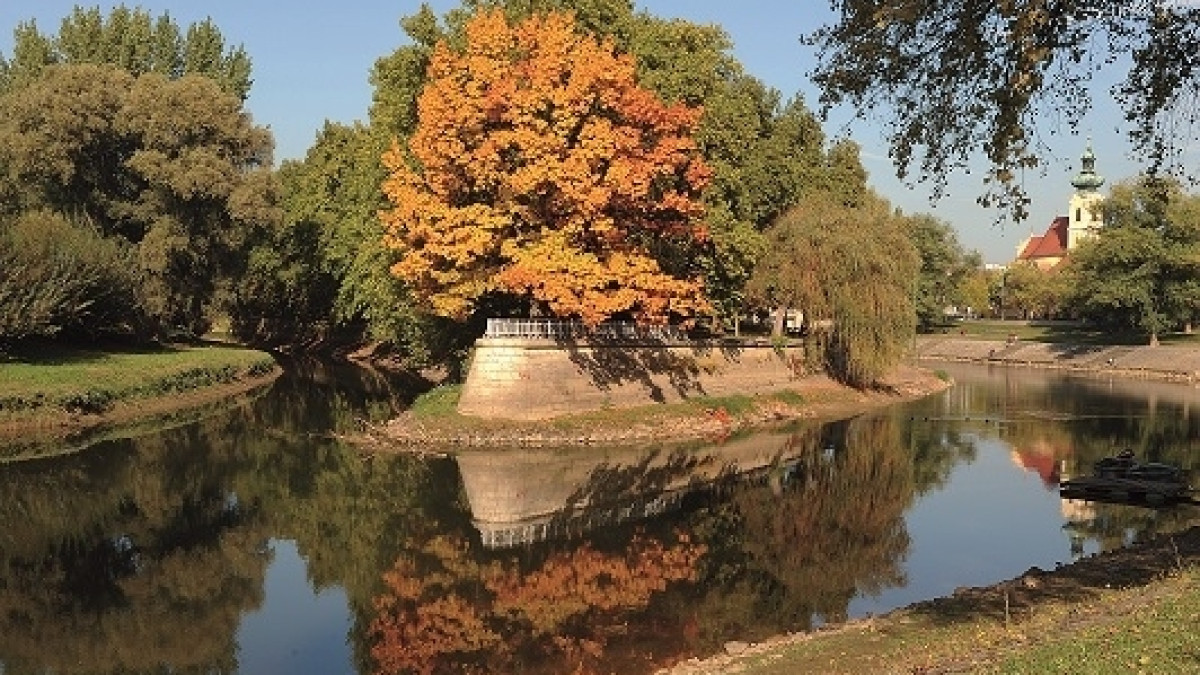 Radó Island