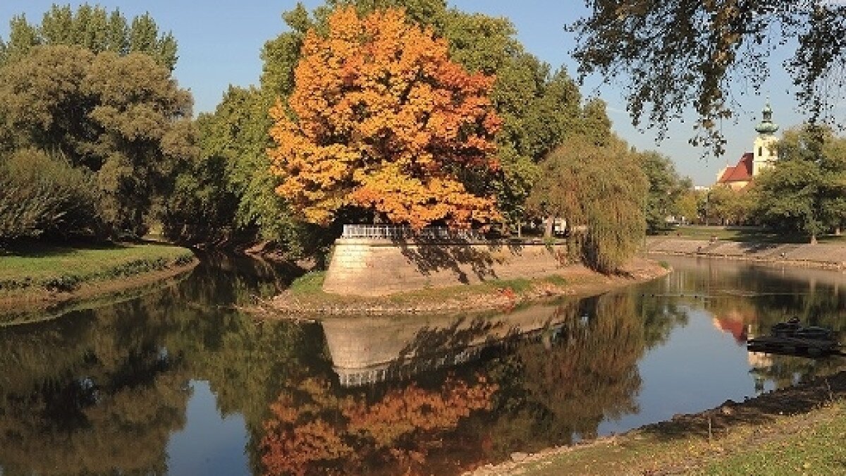 Radó Island