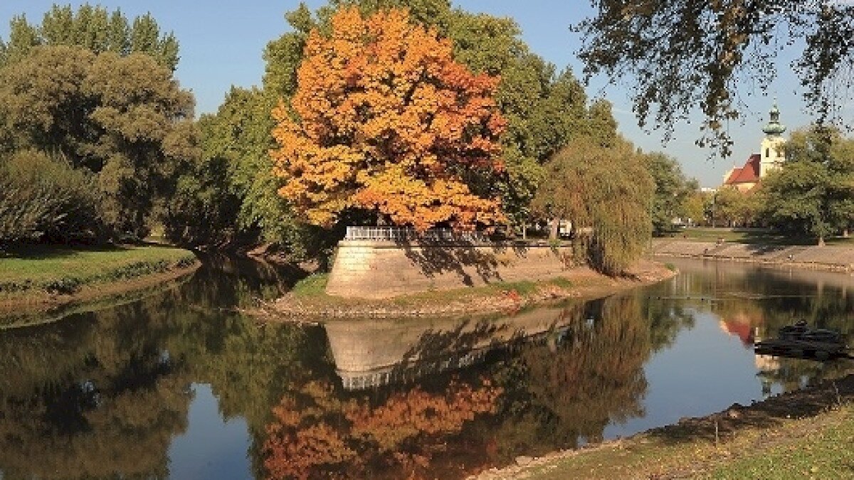 Radó-sziget