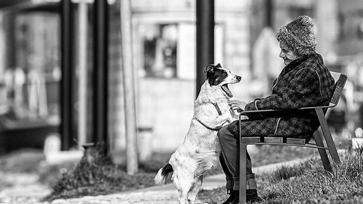 Reggeli streetfotós séta Győrben az Idegenvezetők Világnapján